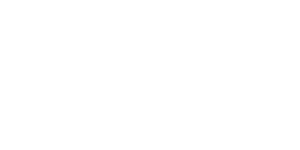 Data Security Council of India